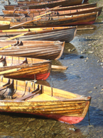 rowing_boats